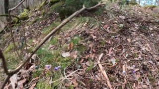 Twink playing nude outside in the spring sun | Johann Wood