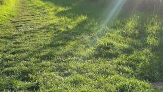 Public Cruising – Totaly naked on public park bench – Suck, jerk caught and cum